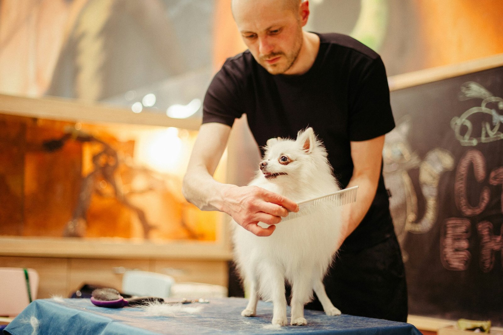 Mastering the Art of Fur Care: Top Tips for Pet Grooming